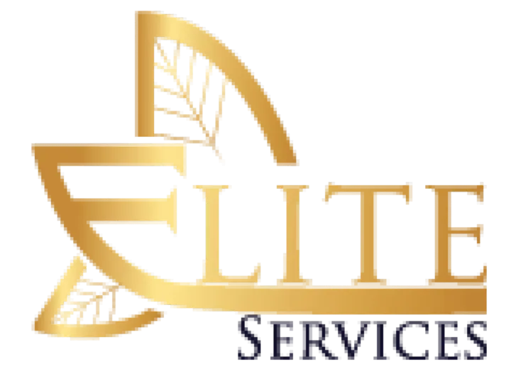 Elite Services - gold monogram identity - Elite Services Brand Identity project by Rainmaker Art